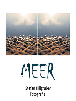 cover image of MEER II
